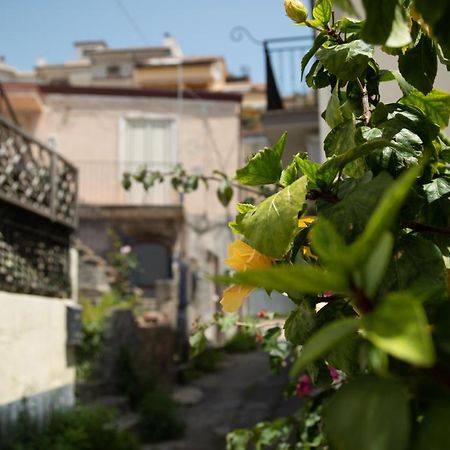 גיארדיני נאקסוס Nick & Santo'S Holiday Homes B&B מראה חיצוני תמונה